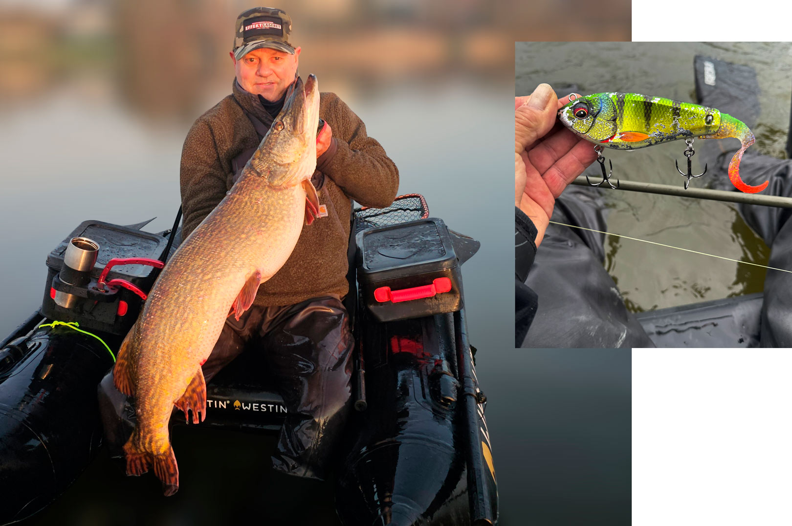 DAIWA OPEN 2025: GROV GEDDE NAPPER TAILBAIT - Fisk & Fri