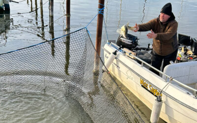 SANDART FLYTTET FRA ARRESØ TIL HADERSLEV DAM