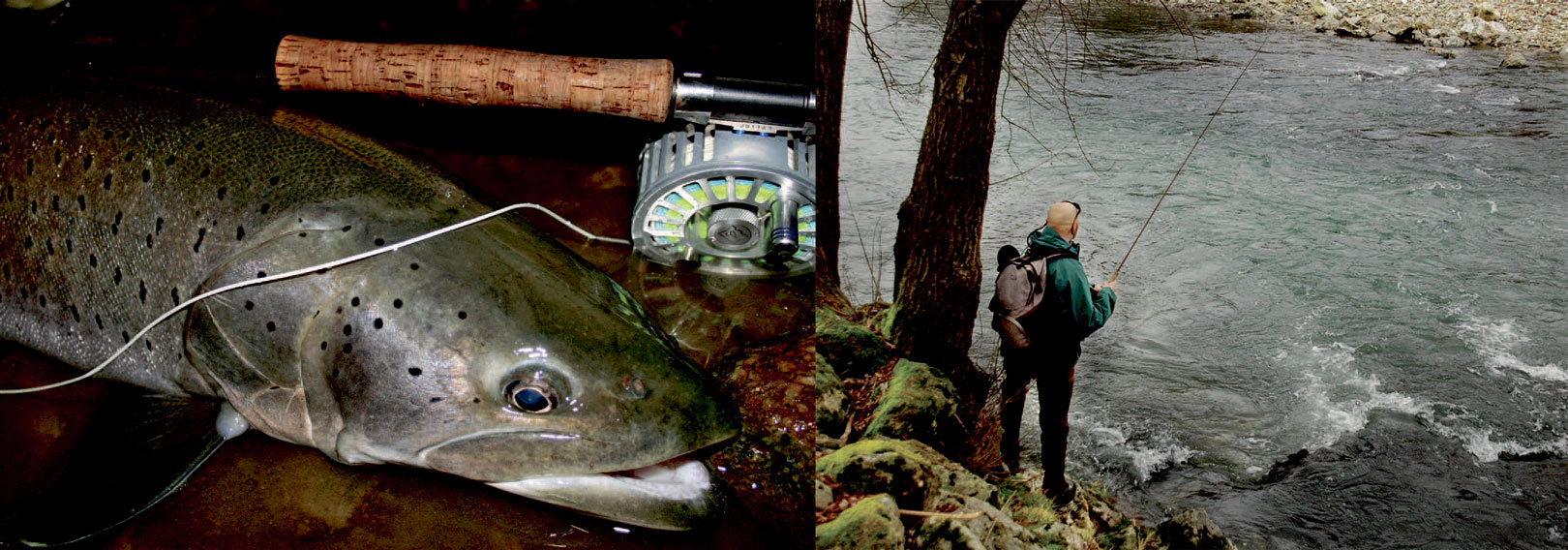 1) En enhåndsstang klasse 10 erperfekt til at jagte donaulaks med., 2) I modsætning til Sava virker Sora-floden (Billedet) ikke intimiderende stor og vandet er let at »læse«.