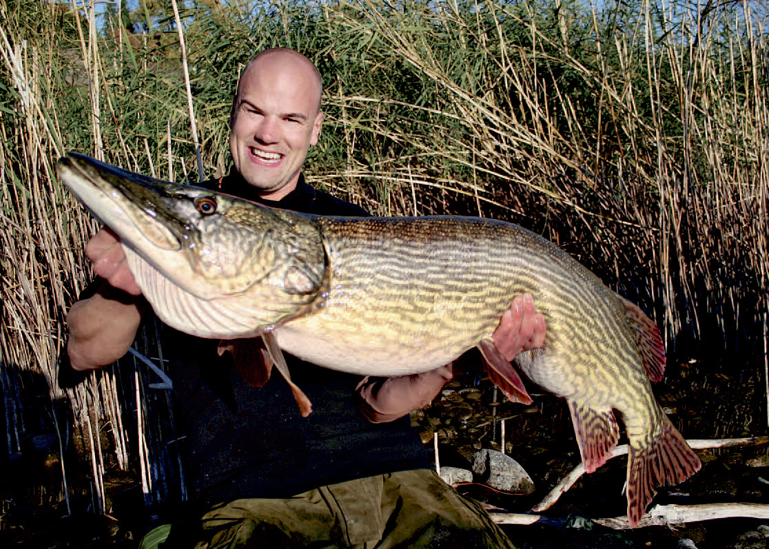 Christian Møller med storgedde fra Tyskland taget på en Alien Eel fra Savage Gear