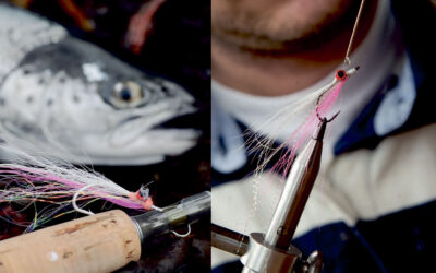 KYSTFLUE:  EN KØLIG CLOUSER MINNOW TIL HAVØRREDERNE