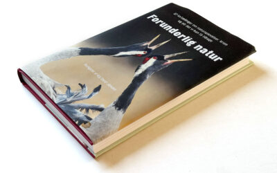 BOGNYT: FORUNDERLIG NATUR