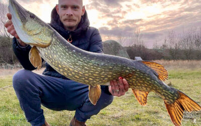 DAIWA OPEN 2025: EN FLOT GEDDE FRA GRUSGRAVEN