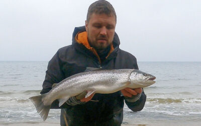 DAIWA OPEN 2025: 70 CM SPEJLBLANK HAVØRRED FRA BORNHOLM