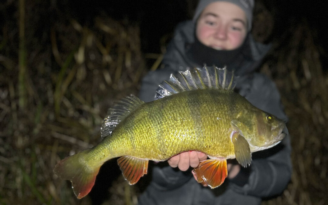 Holger Vestergaard med sin flotte nye PR-aborre taget på jig