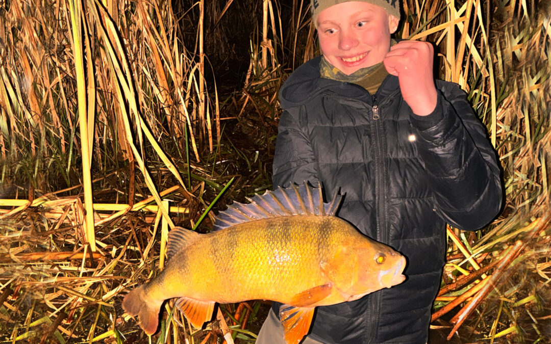 Phillip Aalborg med sin flotte aborre fanget på natfiskeri
