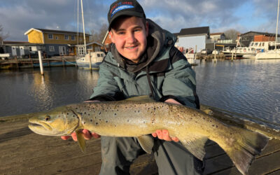 EFTER ABORRER I KØGE Å