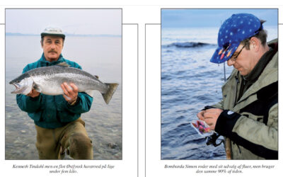 DEN ENESTE ENE TIL HAVØRRED: EKSPERTERNES KYSTFAVORITTER