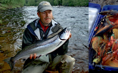 EFTER LAPLANDSKE VILDLAKS I BYSKEELVEN