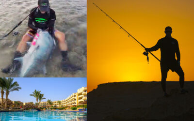 TAG PÅ DEN VILDESTE GT-GETAWAY TIL ÆGYPTEN – UDEN AT BLIVE RUINERET