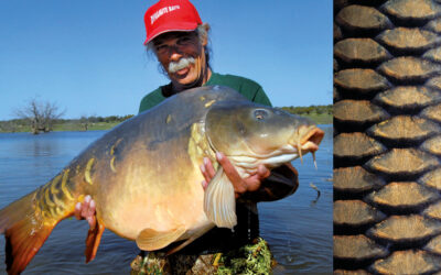 PÅ KARPEFISKERI I PORTUGAL