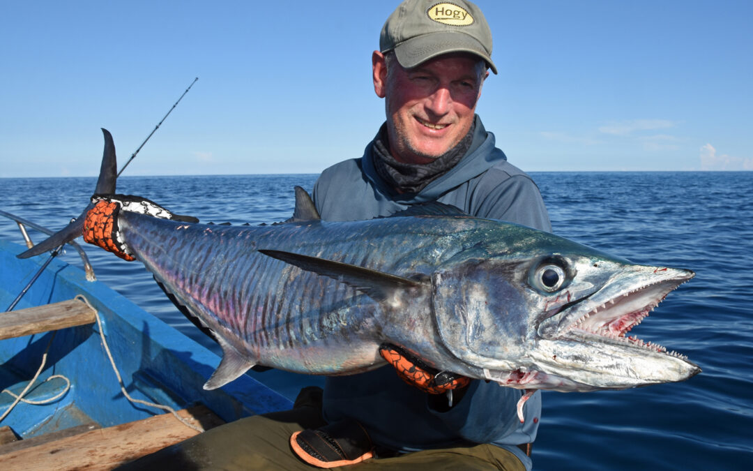 Arnout Terlouw med en flot spanish mackerel fanget på popper i Papua.