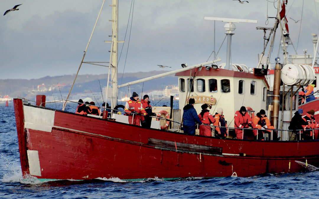 Vintermånederne er højsæson for torskefiskeriet på Øresund, og stemningen ombord på kutterne er som regel helt i top, selvom temperaturen ikke lige er det.
