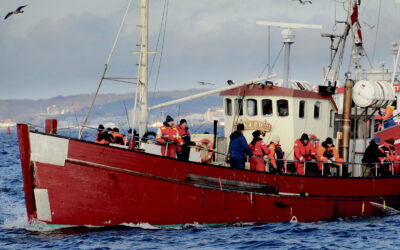 STORTORSK: DE GODE GAMLE DAGE PÅ ØRESUND