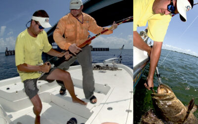 MAND VS FISK: EFTER GOLIATH GROUPER I FLORIDA