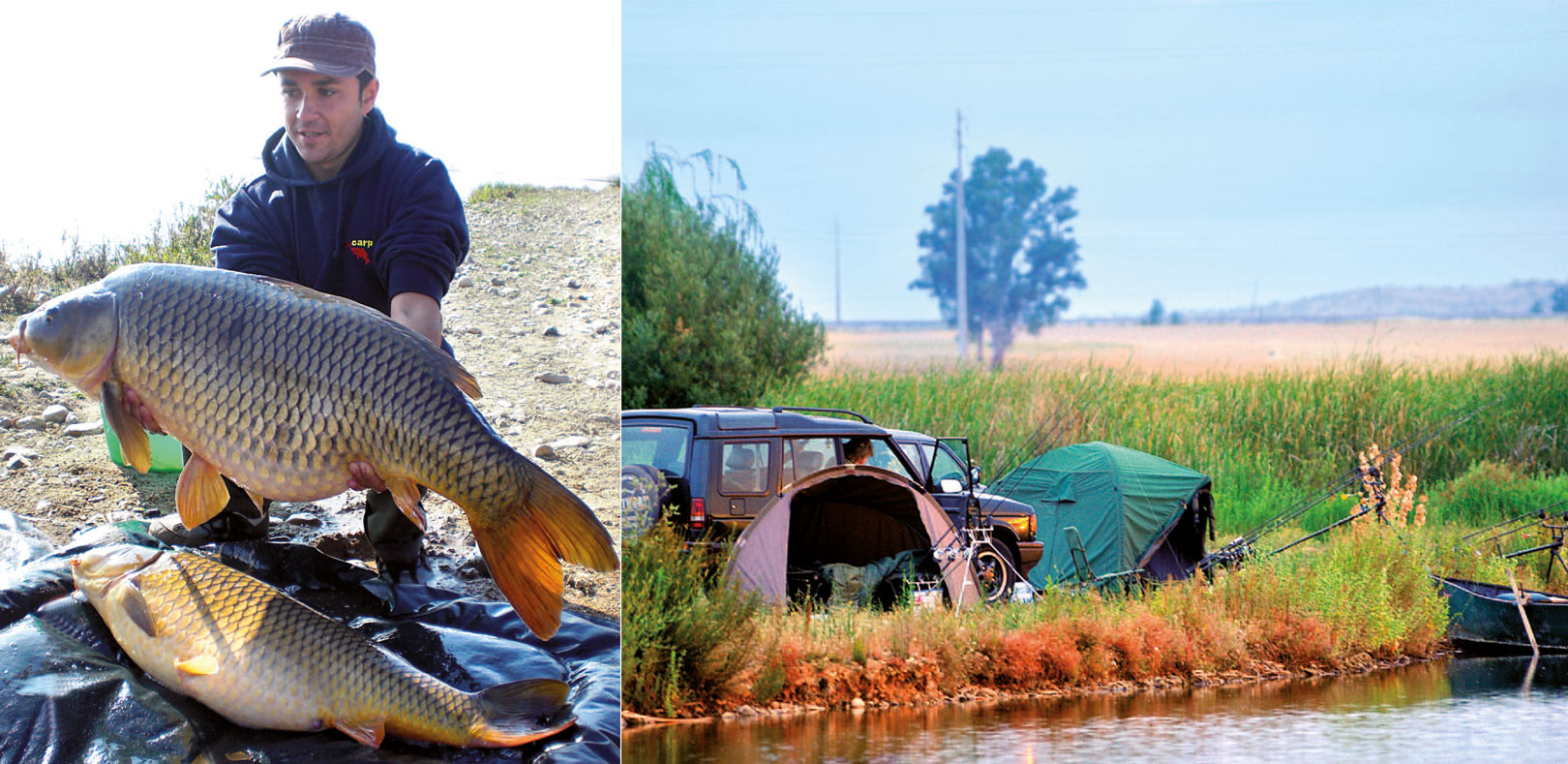 1) I alt er der sat 1.500 spejlkarperud i søen, og de er efterhånden skræmmende store. Deres afkom i søen – skælkarperne – har allerede nu nået vægte på mellem 15 og 20 kilo.. 2) Forfatteren slog lokal bundrekord ved »kun« at fange 10 karper mellem syv og ni kilo. Ifølge ham, er der ingen grænser for, hvad fiskeriet i området kan drives til.