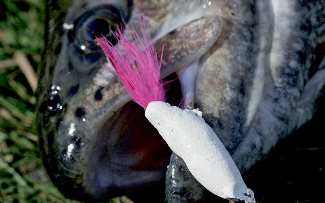 PUT AND TAKE FISKERI: POWERBAIT MED FJER PÅ