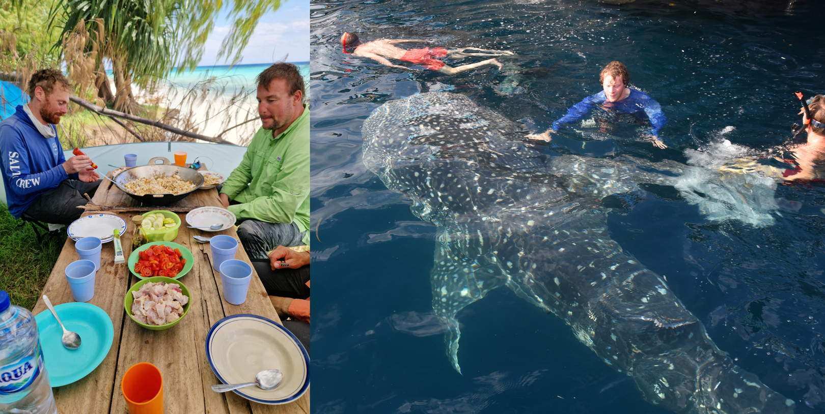 Papua bød ud over fiskeriet både på god mad og vilde oplevelser - som eksempelvis at svømme med denne enorme hvalhaj.