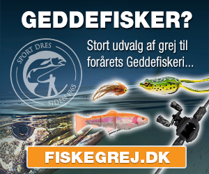 Sport Dres