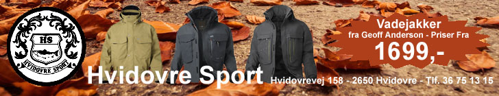 Hvidovre Sport