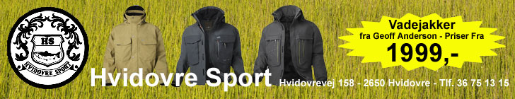Hvidovre Sport