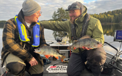FORSHAGA: START PÅ DEN VILDESTE FISKEUDDANNELSE TIL AUGUST