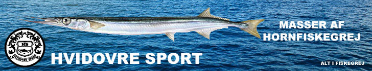 Hvidovre sport - hornfisk