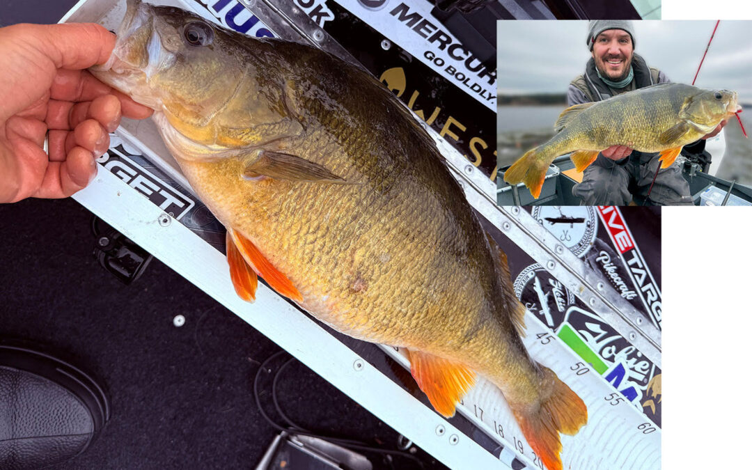 Dennis Bom Boms aborre der vandt Daiwa Opens decemberheat vejde 2,8 kilo