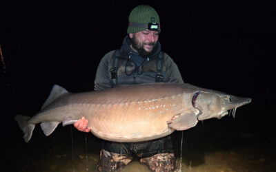 NYE DANSKE REKORDER PÅ SØLVØRRED, GRUNDLING OG SIBIRISK STØR.