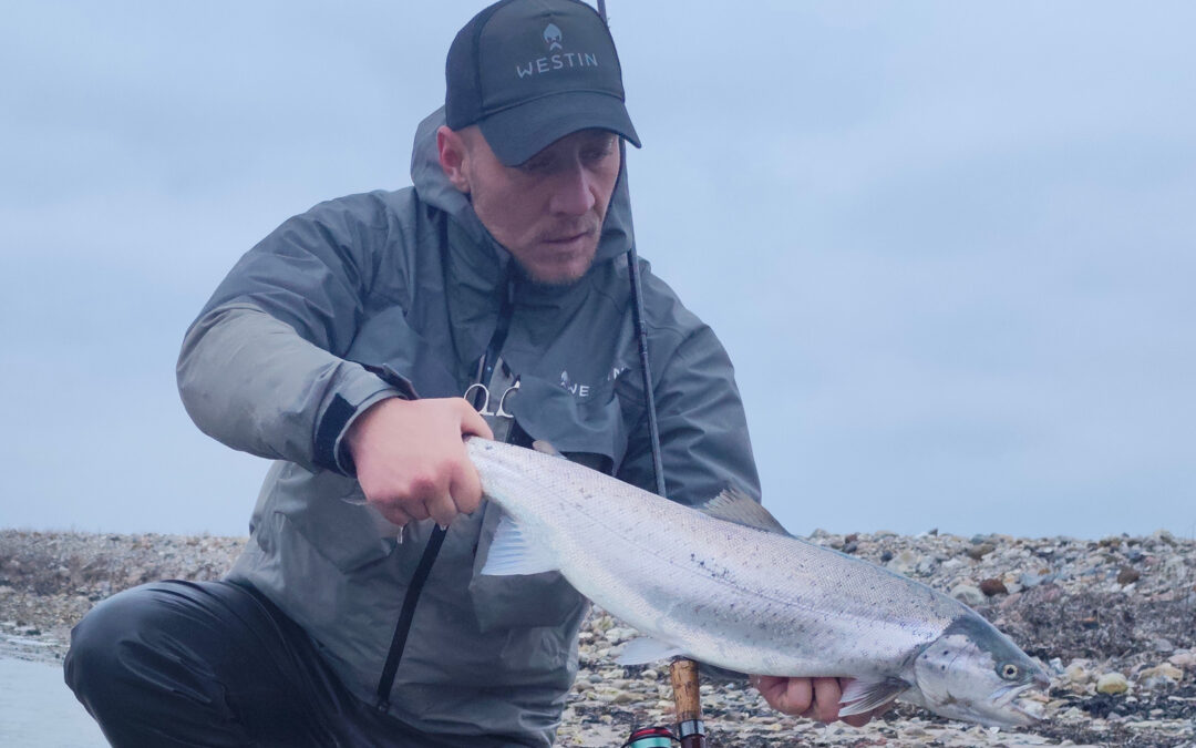 En perfekt, blank Fynsk havørred taget på gennemløber af Jimmy Overby Storm.
