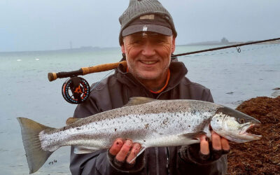 WESTIN CUP 2026: EN SMUK HAVØRRED PÅ FLUESTANGEN