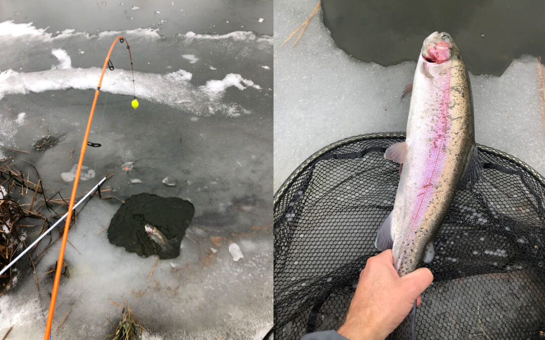 Isfsikeri med elektrikerrør under isen i Poppelsøen