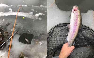 REGNBUEØRRED: MED ELEKTRIKERRØR I PUT AND TAKE´EN