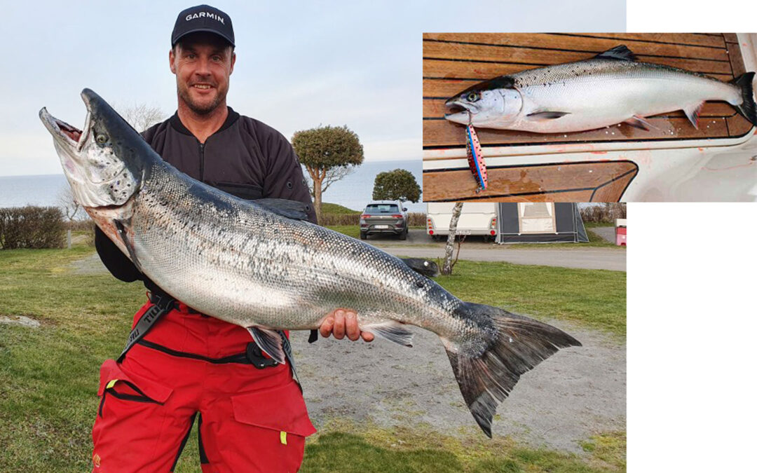 Trollingtræf Bornholm 2026 - laks