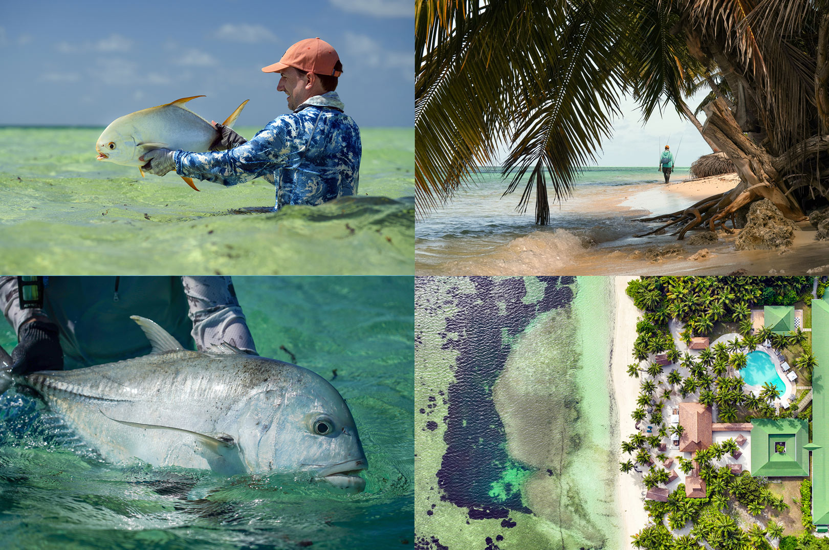 Alphonse Island byder på et spændende tropisk fluefiskeri efter en lang række eksotiske arter.