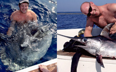 JEZERA – BIG GAME PÅ KROATISK