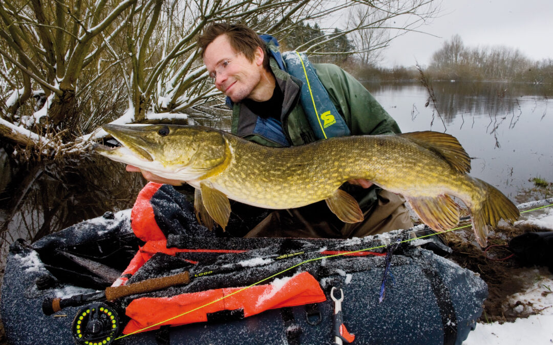 Jens Bursell med en smuk mosegedde, der bød på en brav kamp i den begyndende nyis. Fisken huggede en sort/lilla flashflue fisket på release-takel med en str. 8 trekrog.