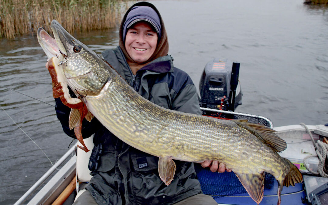 Først gang Stefan Antoni havde taget turen fra Sjælland til Randers for at fiske i Bredningen og Gudenåen resulterede det bl.a. i denne 111 centimeter lange gedde, der tog den næsten halv meter lange Bull Dawg gummiorm hårdt og kontant.