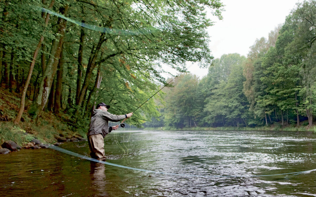 Strækket ved Vittskövle er et af de allersmukkeste stræk på Mørrum.