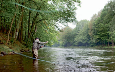 LAKS & HAVØRRED: SPOTGUIDE TIL DE ØVERSTE STRÆK PÅ MØRRUM