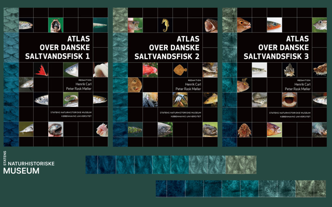 NYT TREBINDS MESTERVÆRK: ATLAS OVER DANSKE SALTVANDSFISK DEL 1-3