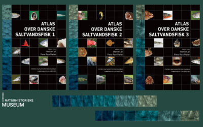 NYT TREBINDS MESTERVÆRK: ATLAS OVER DANSKE SALTVANDSFISK DEL 1-3