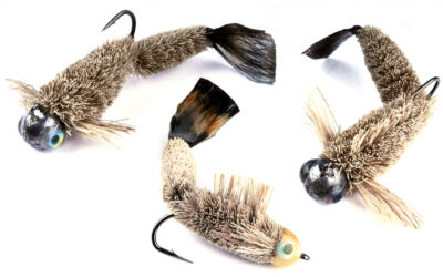 PADDLETAIL FRY – EN LOGRENDE KYSTFLUE