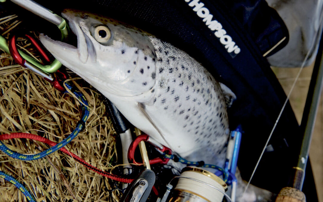 Et vadebælte med et par gode øjer er som skabt til at fastgøre karabiner og reb til fx net, vadestav og fiskegalge. Klatrereb og karabiner som disse kan købes i outdoorbutikker som fx Friluftsland.