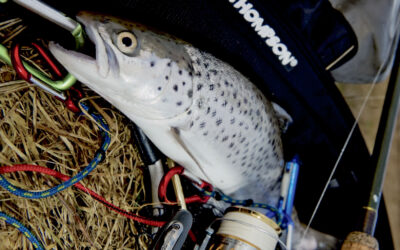 STYR PÅ GREJET – MED REB OG KARABINER