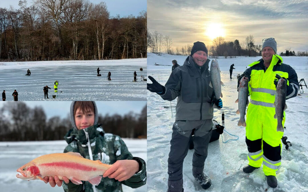 Hos Vesterled Put and Take på Sydsjælland har den stået på isfiskeri efter put and take ørreder de sidste to uger. Isen er efterhånden 17 cm tyk, så det er helt sikkert at færdes på den, fortæller Rasmus Pedersen fra søen. - Folk har typisk fanget 1-5 ørreder på nogle timers isfiskeri, så det er super godt og dejligt anderledes. Der er allerede boret en masse huller, så har du bare en lille hulske eller haveske med til at fjerne slushicen kan du sagtens fiske uden specielt udstyr. Langt de fleste har fanget godt på Powerbait under flåd – typisk enten 30 cm over bunden eller 1 meter under isen. Men – der er også taget godt på bare at stå og vertikalfiske med små softbaits. Eksempelvis har prostaffer Casper Bjerregaard Larsen fra Westin fanget rigtigt godt på softbaits som fxsfiskeri hos Vesterled Put and Take.