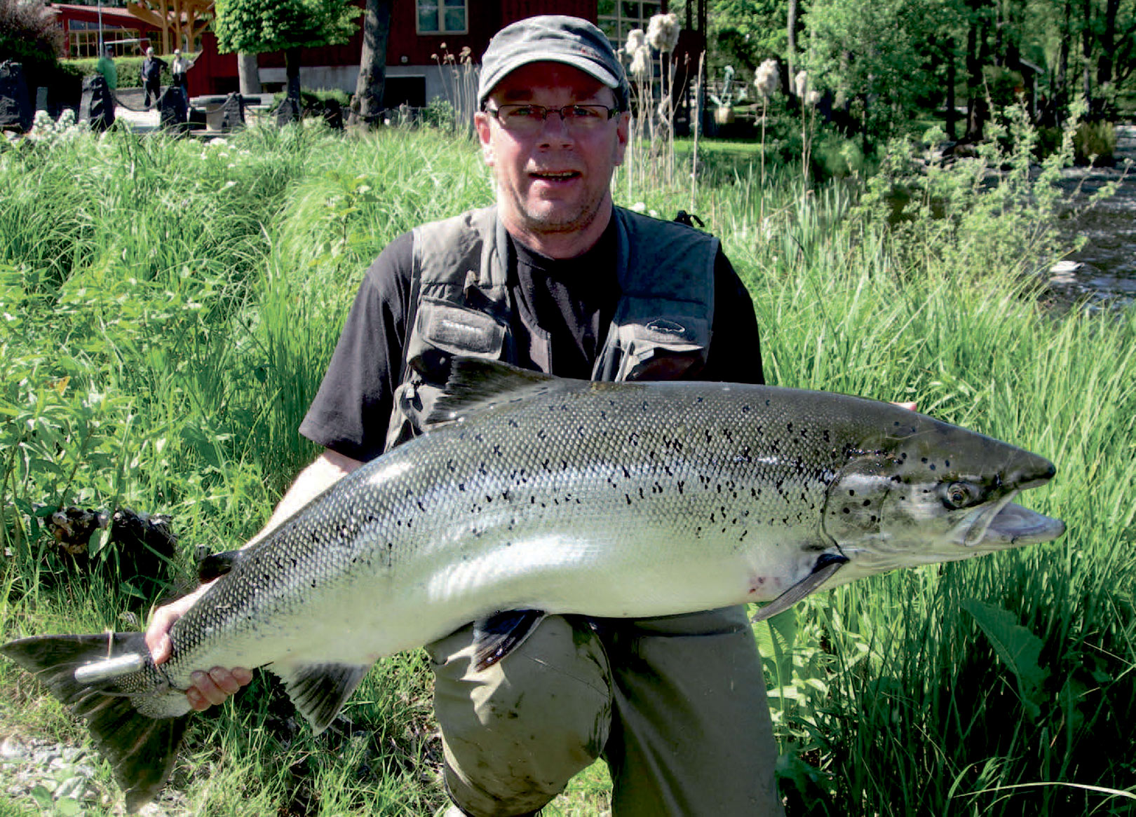 Den største laks i Mørrum 2010blev taget i Pool 4 af Mikael Andersson og vejede 17,2 kilo.