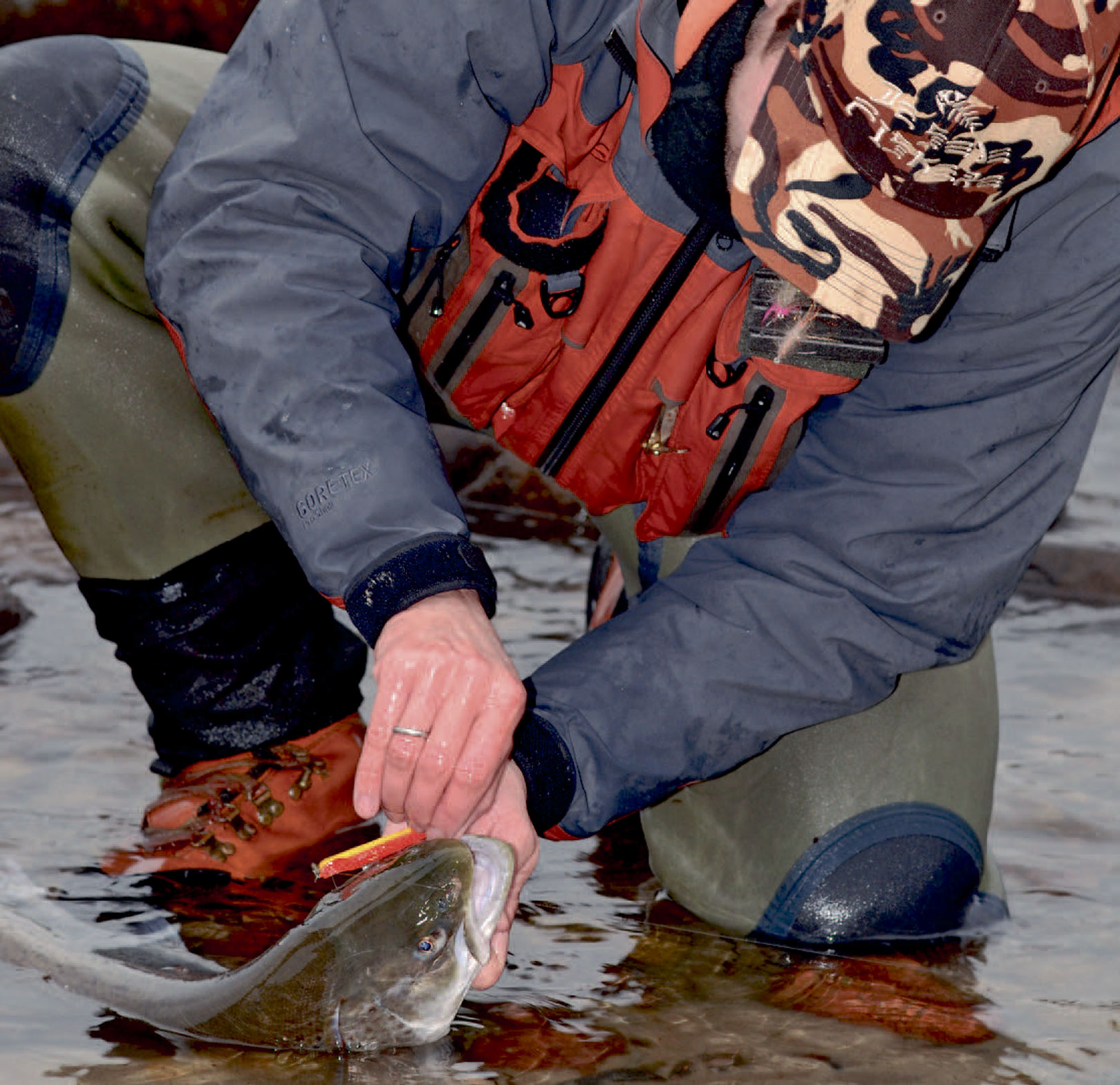 Krogene syner måske ikke afmeget, men det er noget af kystfiskerens vigtigste udstyr. Husk altid at bruge gode og skarpe kroge!