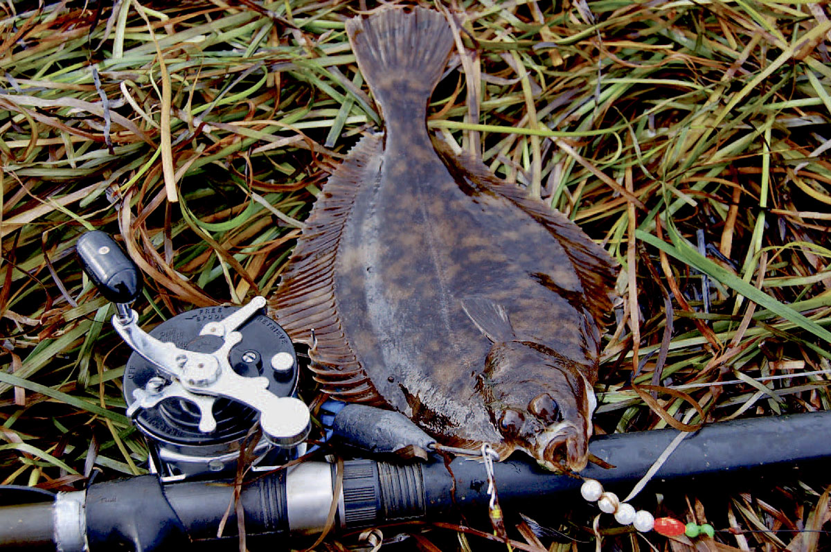 På flere af de bedste pladsergår de store flade lidt længere ude, og så er det en klar fordel med surfcasting grej.