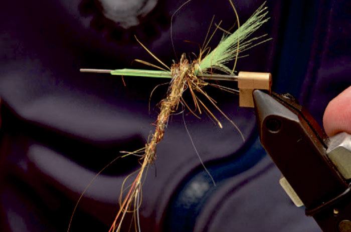 2: Bind halen ind op mod kraven,så den rejses en smule, og dub en kort, men kraftig krop af Angel Dub. Kroppen børstes godt ud med en velcrobørste.